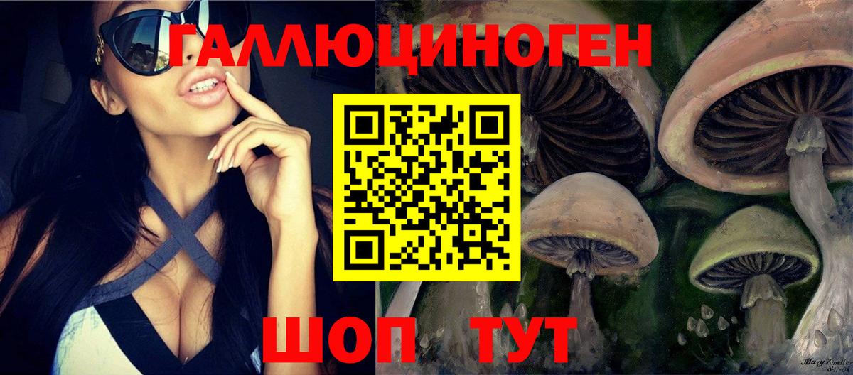Галлюциногенные грибы Cubensis Гагарин