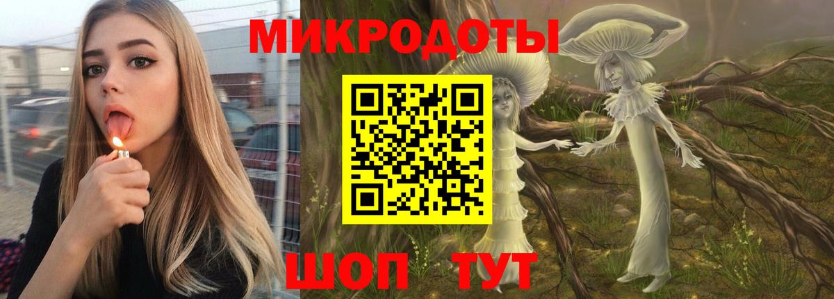 Гагарин  Псилоцибиновые грибы мицелий  Вход с VPN 